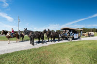 2024 Scottie Vinson Memorial Mule Train