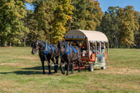 2024 Scottie Vinson Memorial Mule Train
