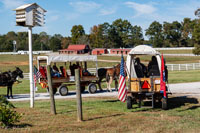 2024 Scottie Vinson Memorial Mule Train