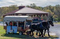 2024 Scottie Vinson Memorial Mule Train