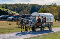2024 Scottie Vinson Memorial Mule Train