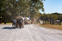 2024 Scottie Vinson Memorial Mule Train