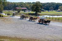 2024 Scottie Vinson Memorial Mule Train