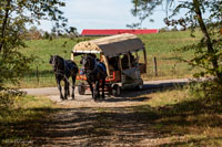 2024 Scottie Vinson Memorial Mule Train