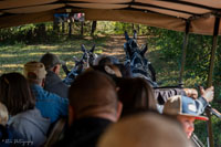 2024 Scottie Vinson Memorial Mule Train