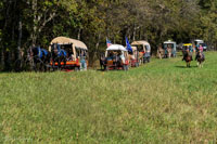 2024 Scottie Vinson Memorial Mule Train