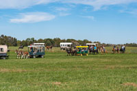 2024 Scottie Vinson Memorial Mule Train