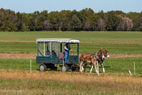 2024 Scottie Vinson Memorial Mule Train
