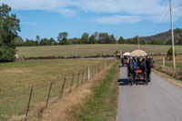 2024 Scottie Vinson Memorial Mule Train