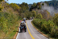 2024 Scottie Vinson Memorial Mule Train