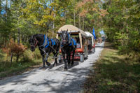 2024 Scottie Vinson Memorial Mule Train