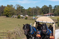 2024 Scottie Vinson Memorial Mule Train