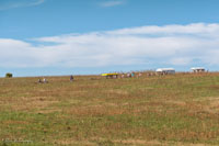 2024 Scottie Vinson Memorial Mule Train