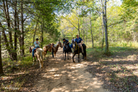 2024 Scottie Vinson Memorial Mule Train