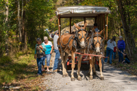 2024 Scottie Vinson Memorial Mule Train