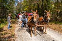 2024 Scottie Vinson Memorial Mule Train