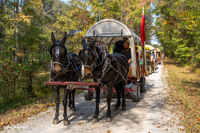 2024 Scottie Vinson Memorial Mule Train