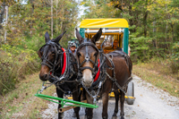 2024 Scottie Vinson Memorial Mule Train