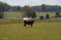 2024 Scottie Vinson Memorial Mule Train