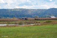 2024 Scottie Vinson Memorial Mule Train