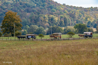 2024 Scottie Vinson Memorial Mule Train