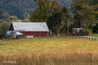 2024 Scottie Vinson Memorial Mule Train