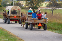 2024 Scottie Vinson Memorial Mule Train