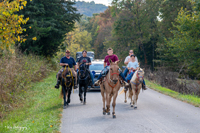 2024 Scottie Vinson Memorial Mule Train