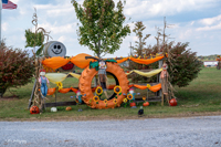 2024 Scottie Vinson Memorial Mule Train