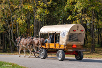 2024 Scottie Vinson Memorial Mule Train