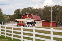 2024 Scottie Vinson Memorial Mule Train