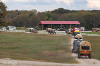 2024 Scottie Vinson Memorial Mule Train