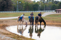 2024 Scottie Vinson Memorial Mule Train