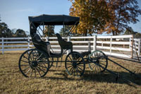 We provide off-site carriage rental as well.